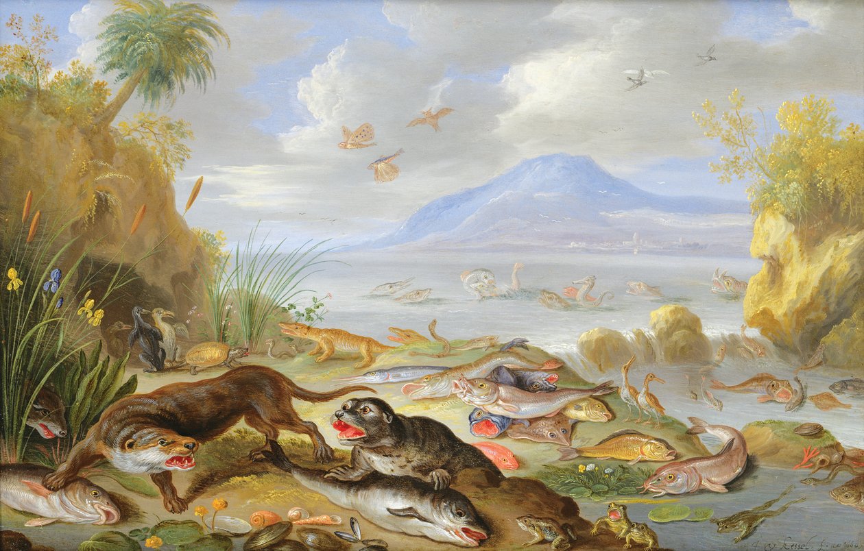 A víz eleme, 1660 (olaj, réz) alkotó: Jan van Kessel the Elder