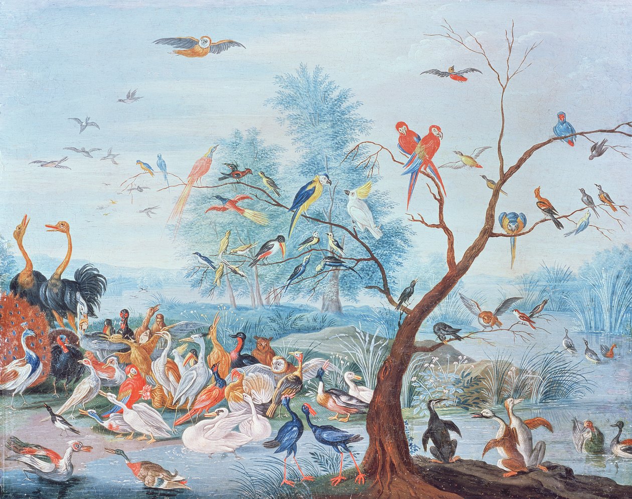 Trópusi madarak a tájon alkotó: Jan van Kessel the Elder