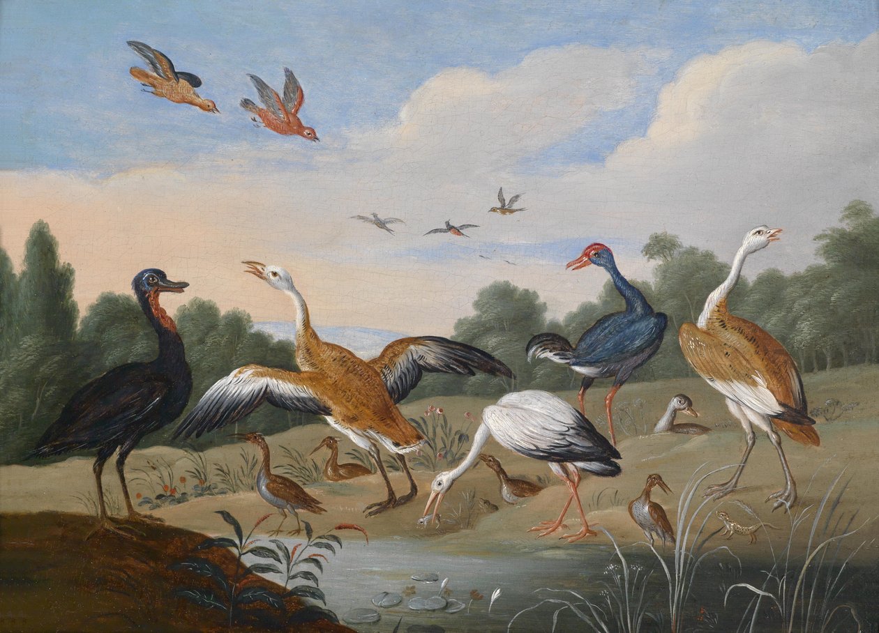Gémek és kacsák a folyón alkotó: Jan van Kessel the Elder