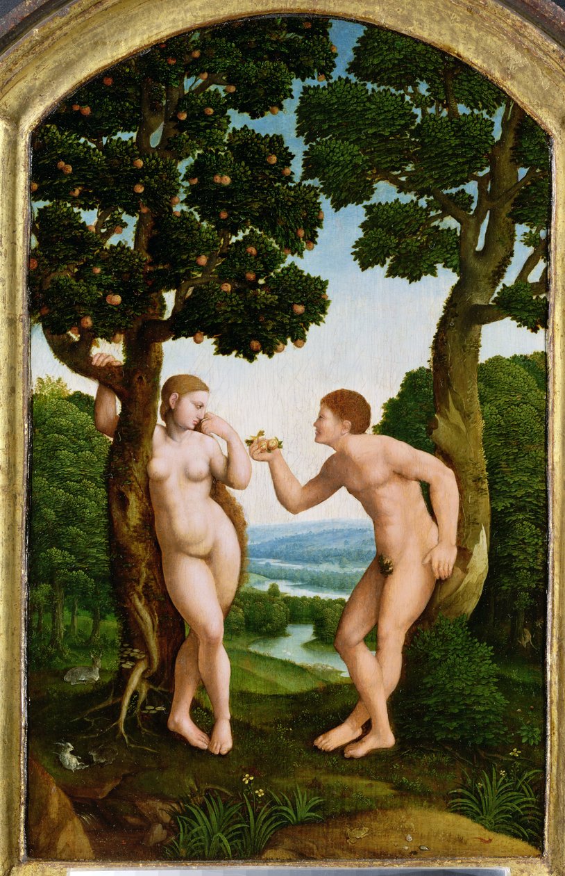 Ádám és Éva a Paradicsomban (tempera a panelen) alkotó: Jan van Scorel