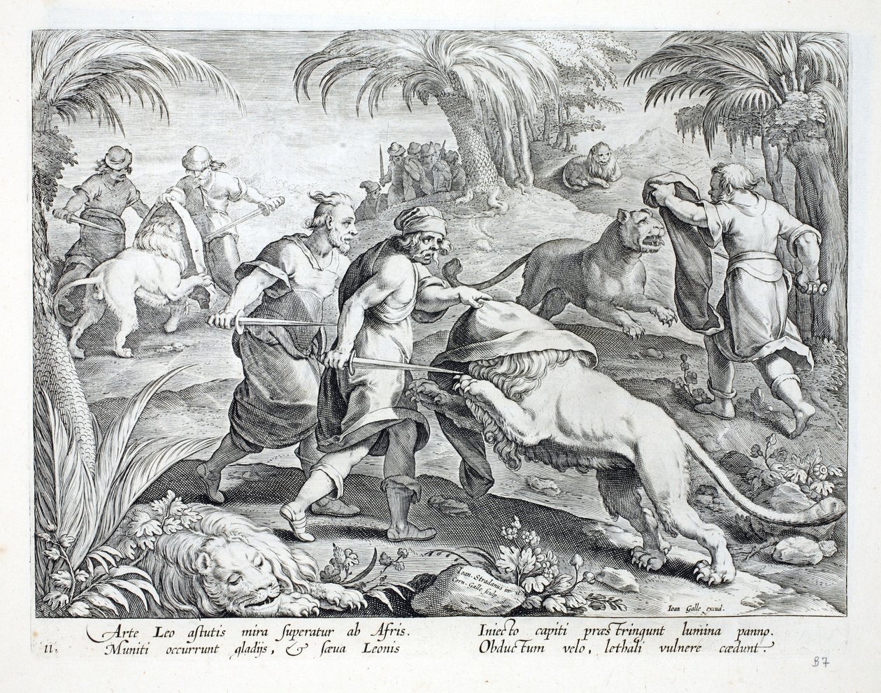 Az afrikaiak úgy vadásznak az oroszlánokra, hogy letakarják a fejüket, majd halálos sebet szúrnak át. Illusztráció a „Venationes, Ferarum, Avium, Piscium” (A vadászatról: Vadállatok, madarak, halak) című könyvből, Jan Col. alkotó: Jan van der Straet