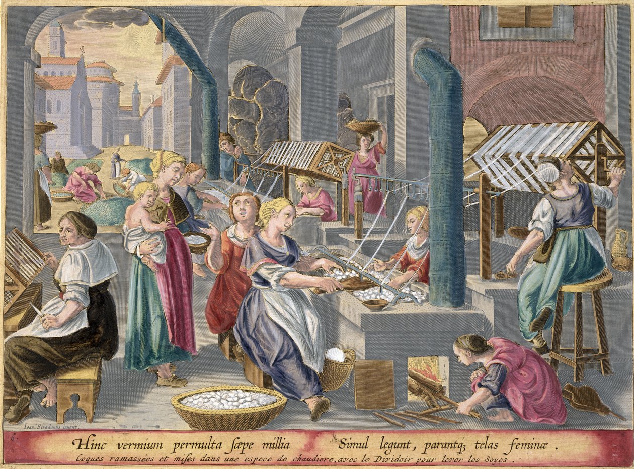 A gubók megfőzése a krizalidok elpusztítására és a szálak felpuhítására, majd feltekercselve, hogy selymet készítsenek, Philip Galle (1537-1612) által metszett „Vermis Sericus” (A selyemhernyó) 6. táblája alkotó: Jan van der Straet