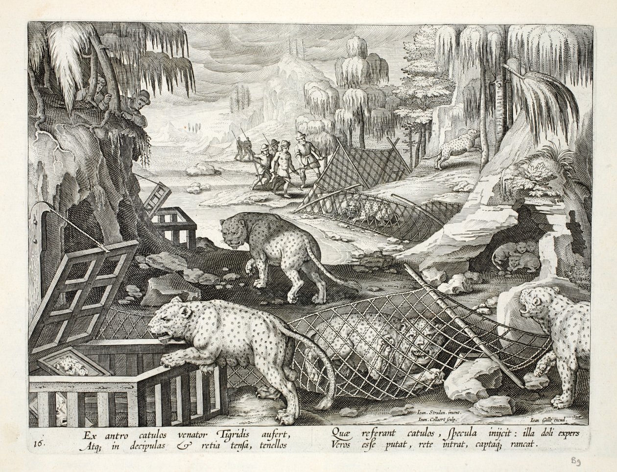 Leopárdok befogása hálók és tükrös ketrecek segítségével, illusztráció a „Venationes, Ferarum, Avium, Piscium” (A vadászatról: Vadállatok, madarak, halak) című könyvből, metszett: Jan Collaert (1566-1) alkotó: Jan van der Straet