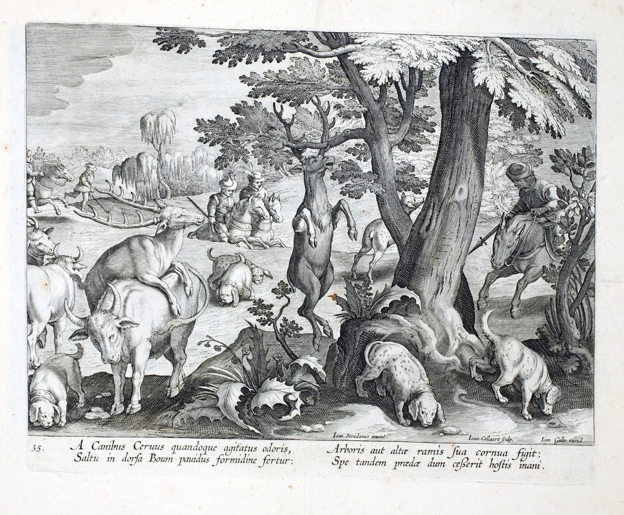 A kutyák szaglásuk szerint üldözik a szarvast, az ember rémülten ugrál, agancsát a fa magas ágaira rögzíti, illusztráció a „Venationes, Ferarum, Avium, Piscium” (Vadászatról: Vadállatok, madarak, halak) című könyvből, engl. alkotó: Jan van der Straet