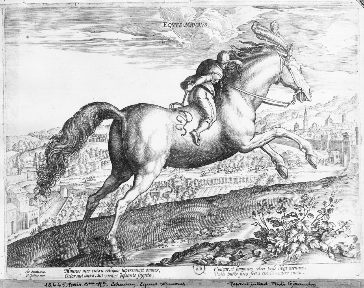 Lómoor alkotó: Jan van der Straet