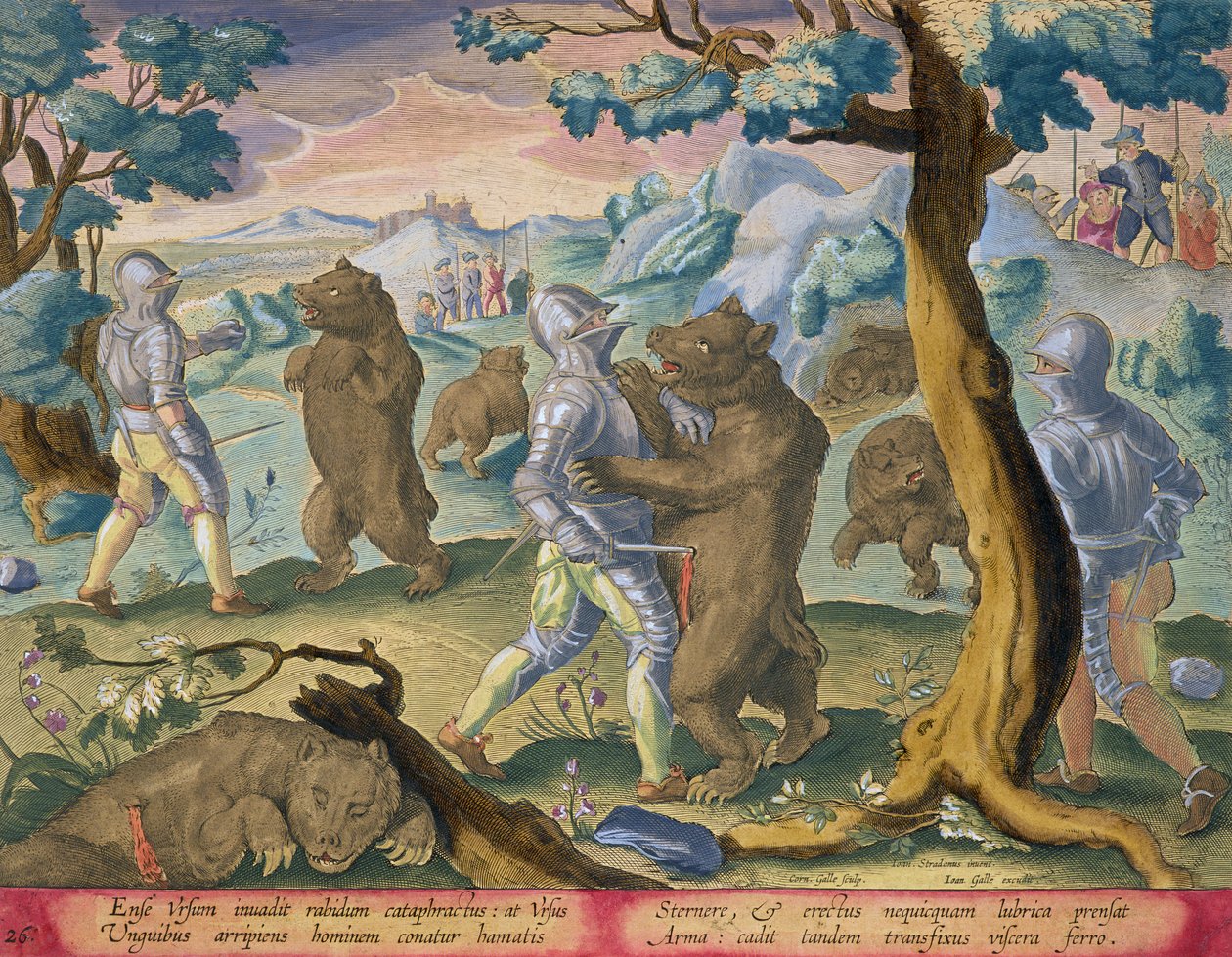 A nehézpáncélos férfiak megtámadják a medvéket úgy, hogy beleszúrják őket a Vitalsba, a „Venationes Ferarum, Avium, Piscium” (Vadászatról: Vadállatok, madarak, halak) 26. táblája, Jan Collaert (1566-1628) metszetével. alkotó: Jan van der Straet