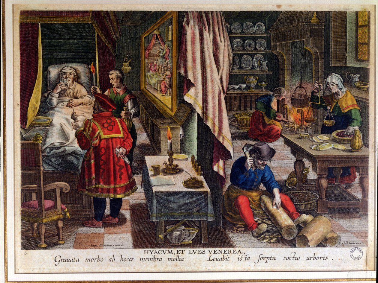 Guayaco készítése és használata a szifilisz kezelésére, Philip Galle (1537-1612) metszete 1570 körül (lásd még 91596). alkotó: Jan van der Straet