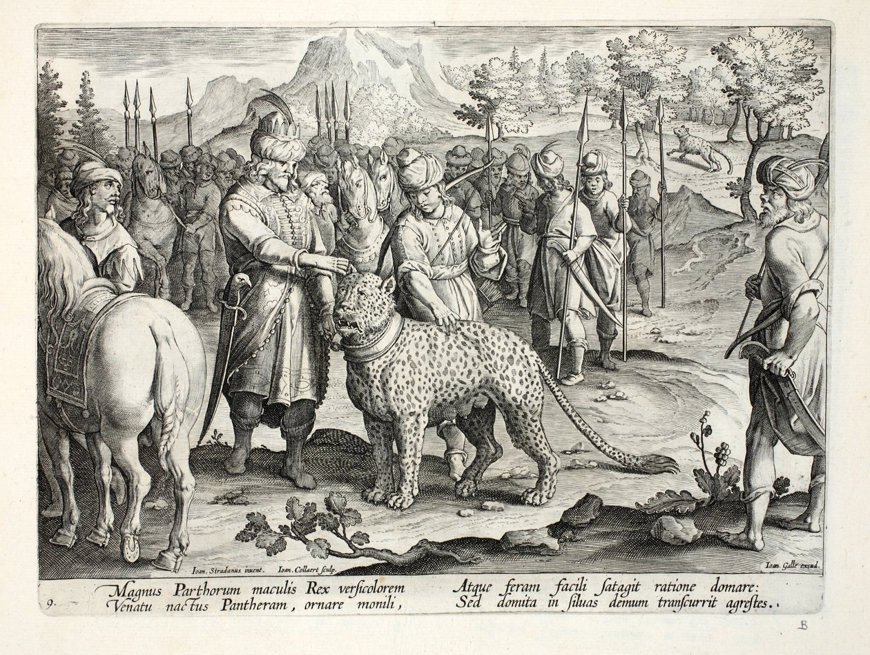 A Pártusok Nagy Királya szelíd párducaival vadászik, illusztráció a „Venationes, Ferarum, Avium, Piscium” (A vadászatról: Vadállatok, madarak, halak) című könyvéből, Jan Collaert (1566-1628), kocsma. alkotó: Jan van der Straet