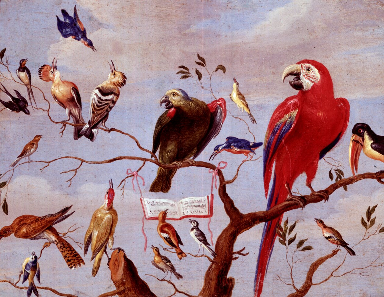 A Chorus of Birds, 1650-1675 körül (olaj, fém) alkotó: Jan van Kessel the Elder
