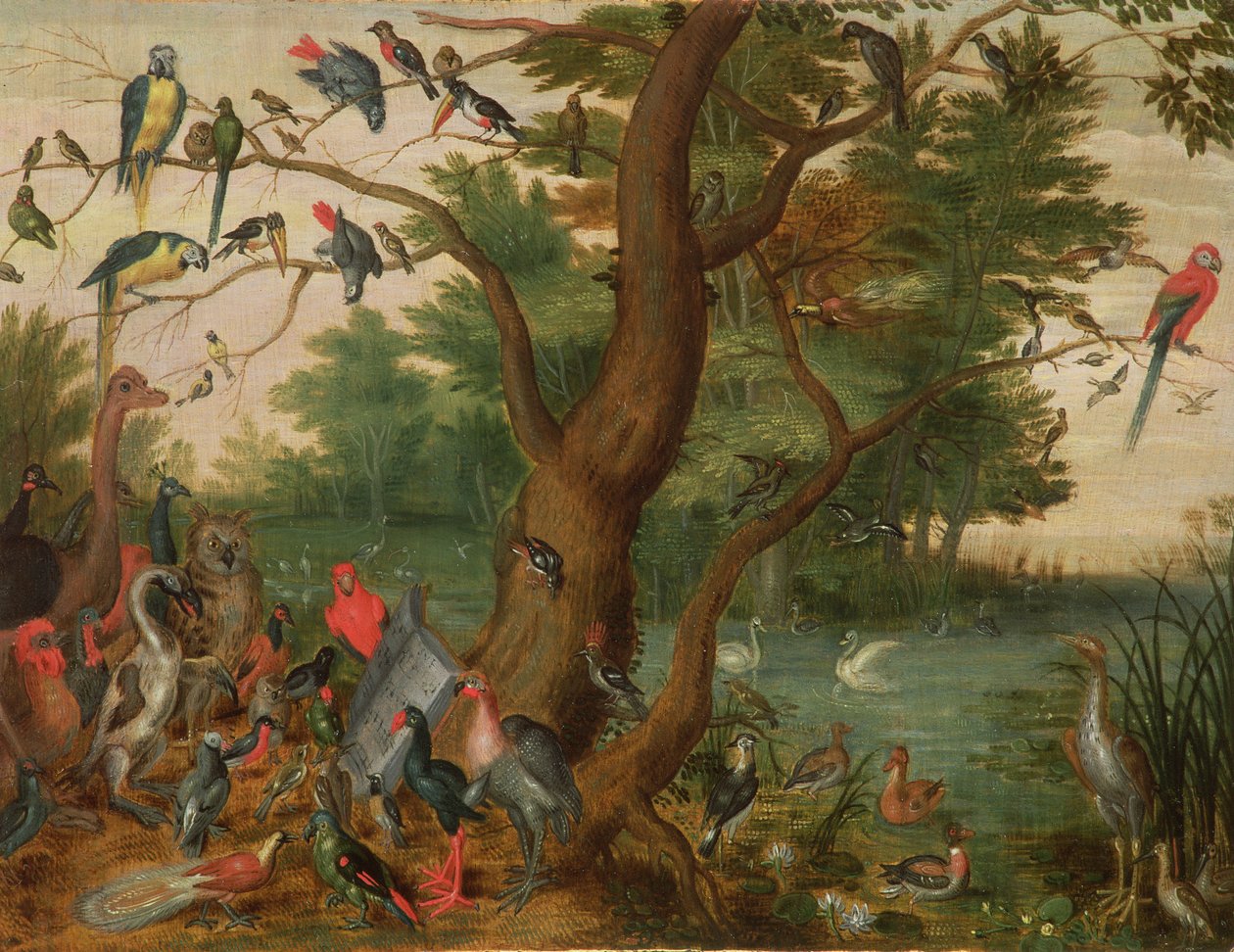Madarak koncertje (panel) alkotó: Jan van Kessel the Elder