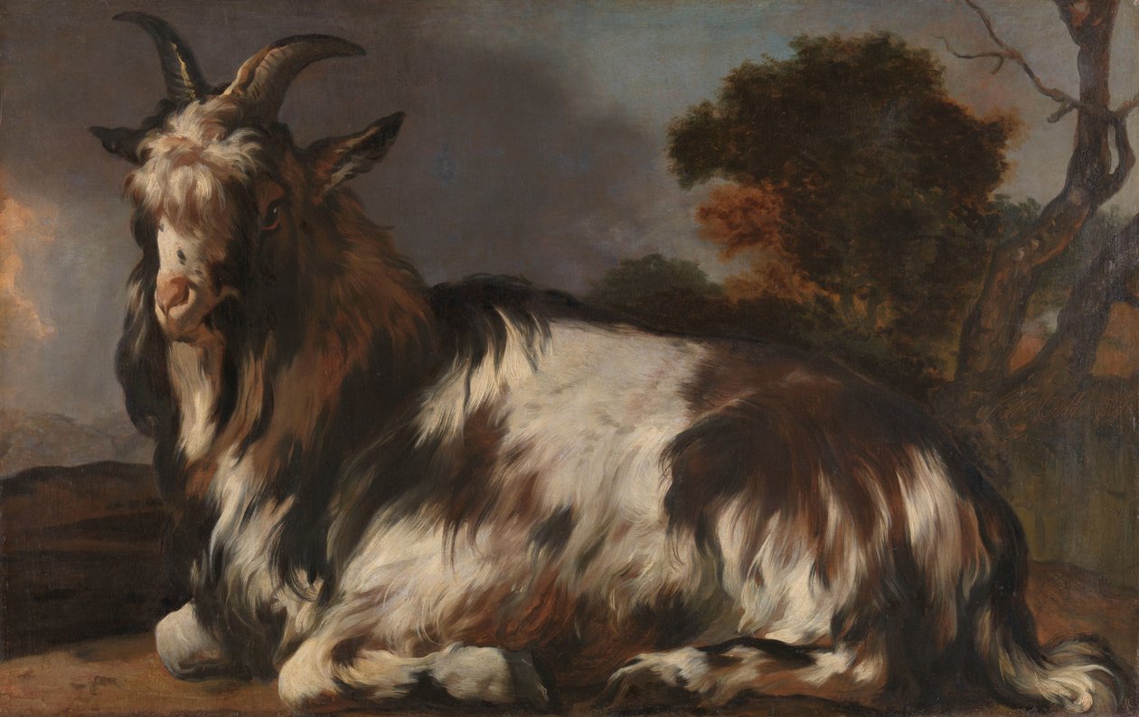 Kecske fekve alkotó: Jan Baptist Weenix