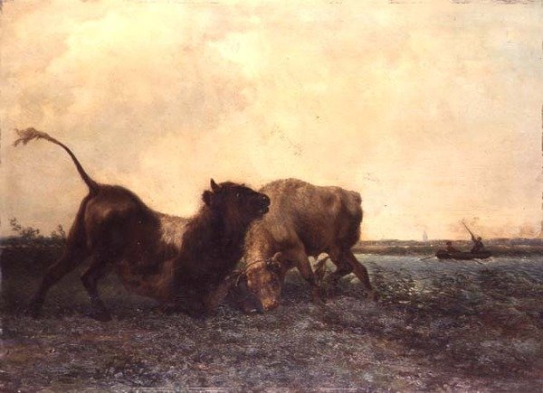 Bulls Fighting alkotó: Jan Bedys Tom