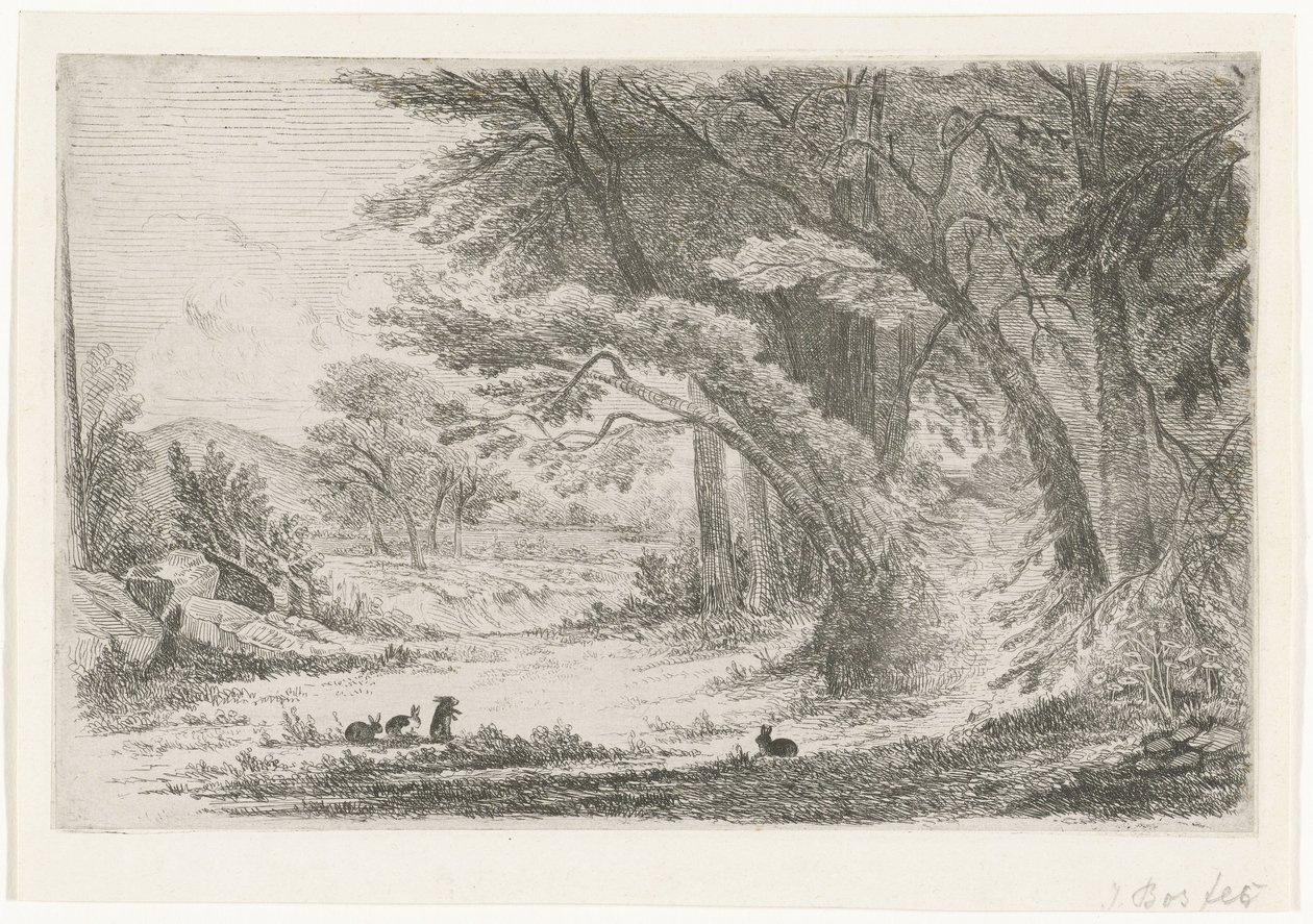 Erdő széle nyulakkal alkotó: Jan Bos Wz. (signed by artist)