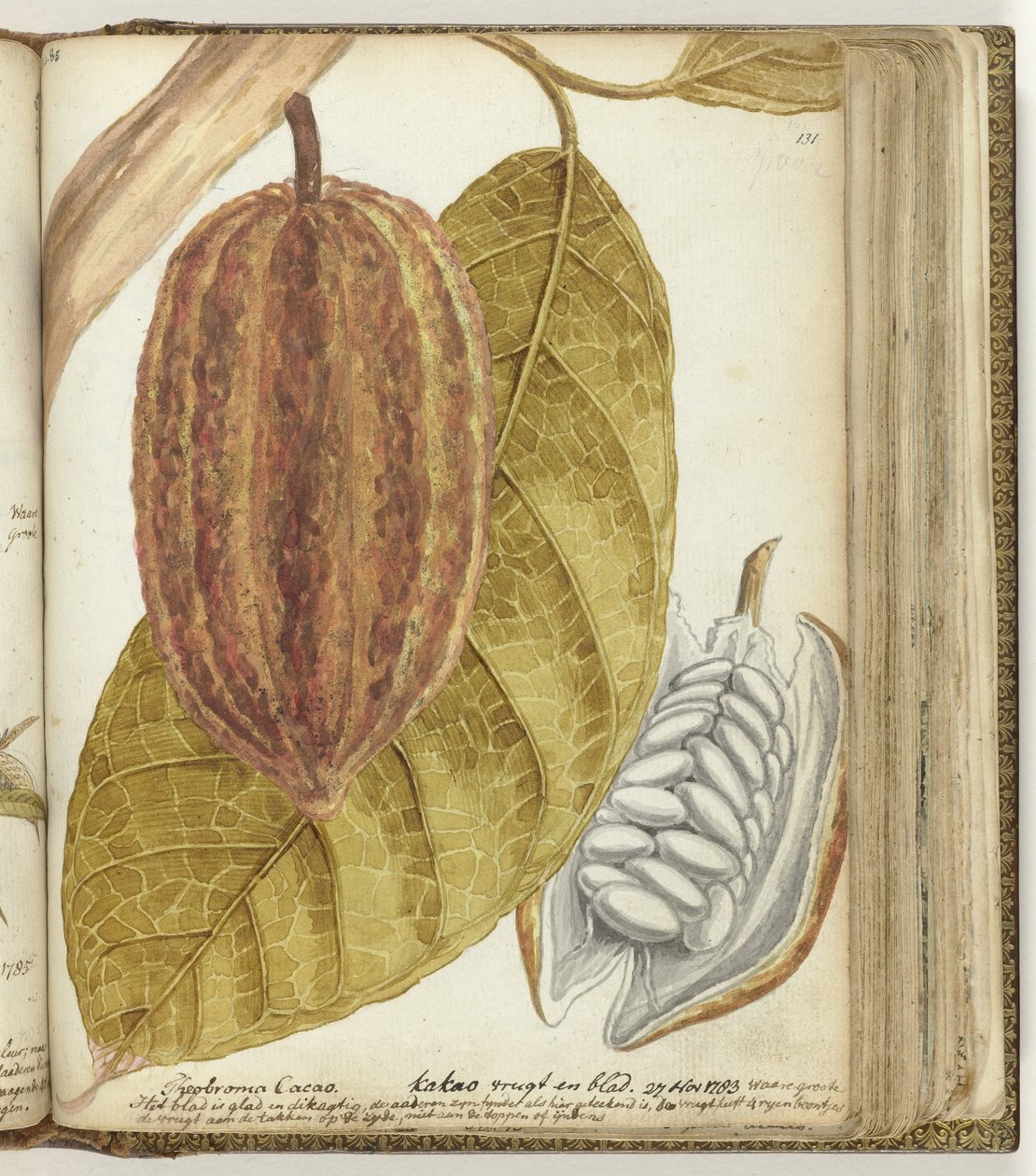 Cacao alkotó: Jan Brandes