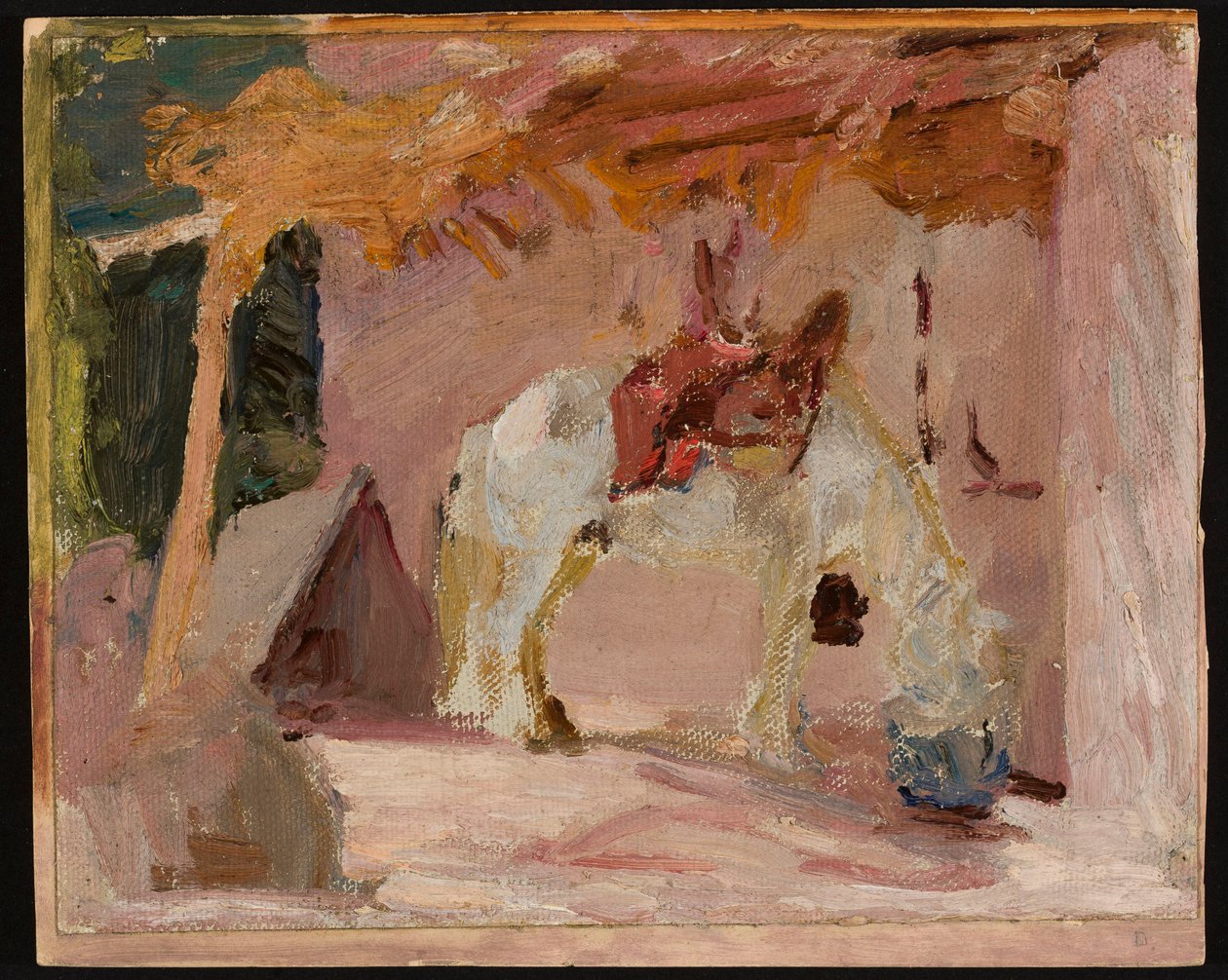 Pferd. Aus der Reise nach Turkestan alkotó: Jan Ciągliński