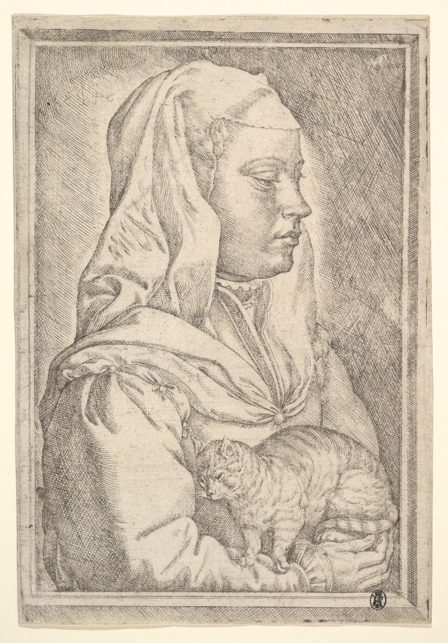 Lány macskával, 1546. alkotó: Jan Cornelisz Vermeyen