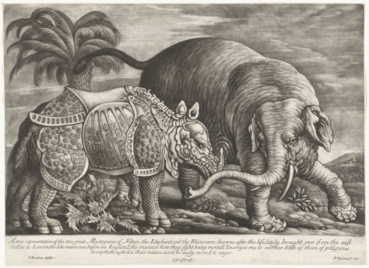 Olifant een neushoorn A természet két nagyszerű remekművének, az elefántnak és az orrszarvúnak valós ábrázolása (cím a tárgyon) alkotó: Jan Griffier (I)