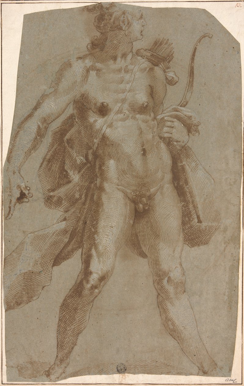 Apollo alkotó: Jan Harmensz. Muller