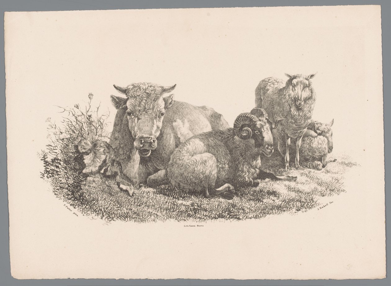 Tehén, kos és két bárány Beesten Studien J. Kobell Paul Potter nyomán Nr. 1 (sorozat címe) alkotó: Jan Kobell (III)