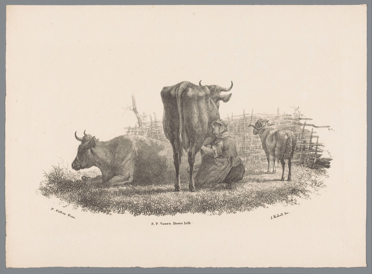 Fejő gazda felesége, két tehén és egy kos Beesten Studien J. Kobell Paul Potter nyomán Nr. 1 (sorozat címe) alkotó: Jan Kobell (III)