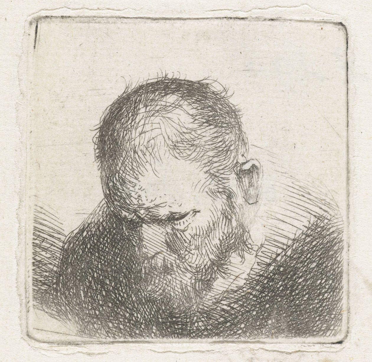 szakállas férfi alkotó: Jan Lievens (possibly)