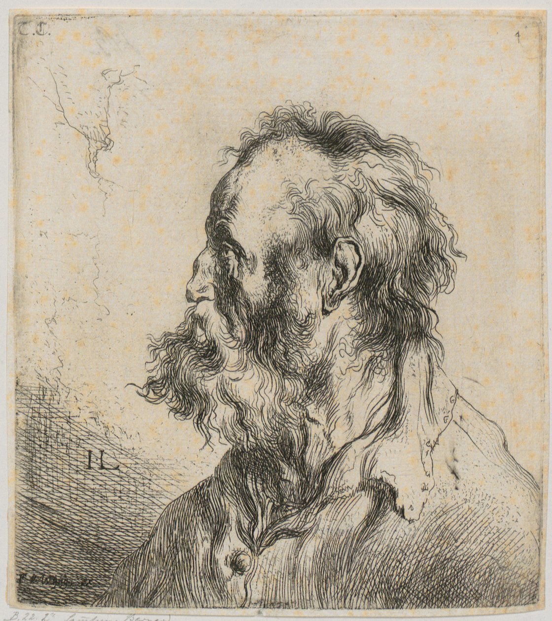 Egy szakállas idős férfi mellkép alkotó: Jan Lievens