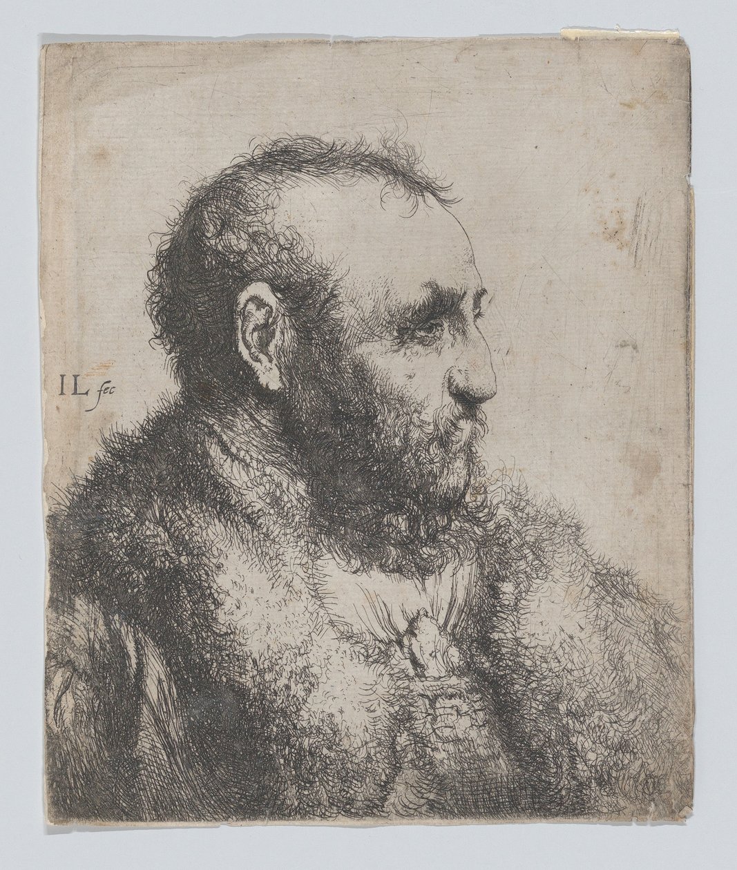 Idős férfi mellszobra prémgallérral alkotó: Jan Lievens