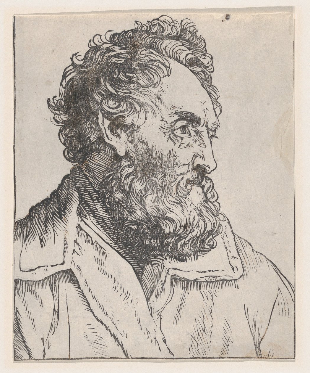 Egy ember feje, 17. század. alkotó: Jan Lievens