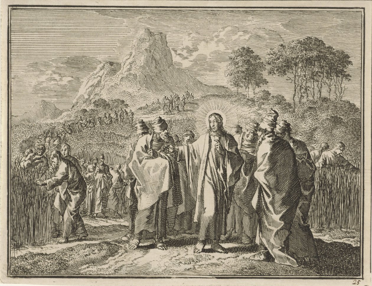 Kalászszedés szombaton alkotó: Jan Luyken