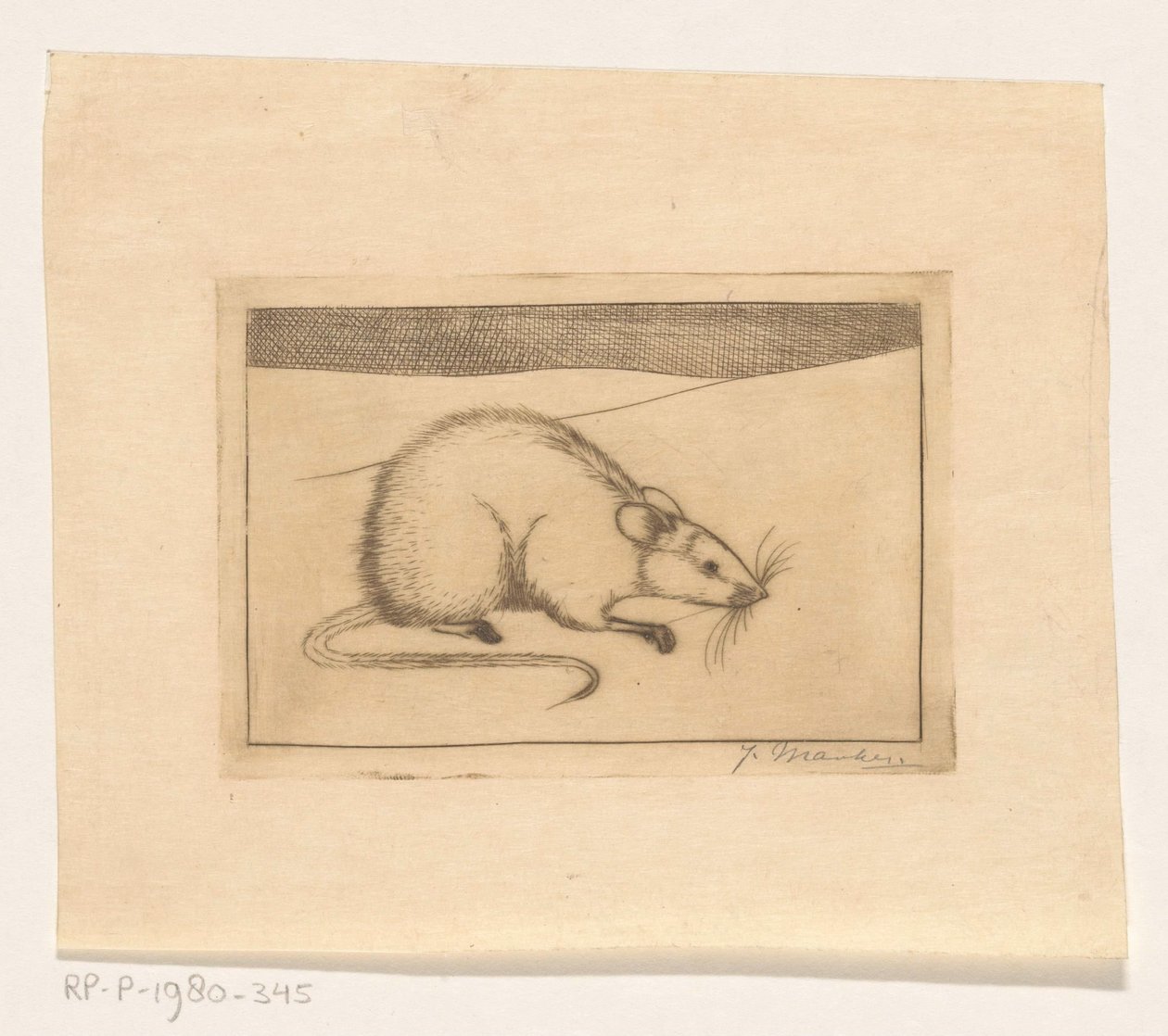 Egér alkotó: Jan Mankes (signed by artist)