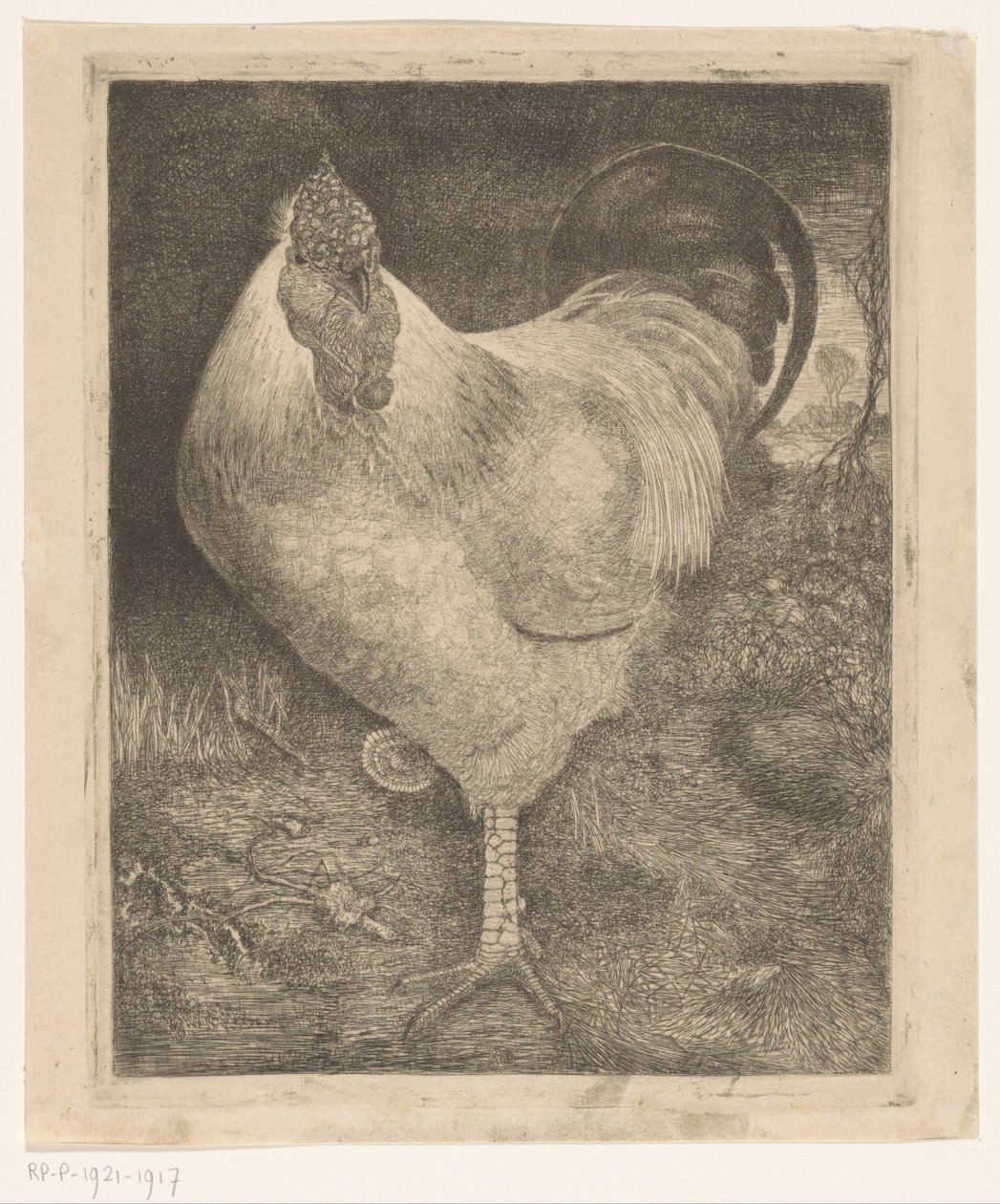 Egy lábon kakas alkotó: Jan Mankes