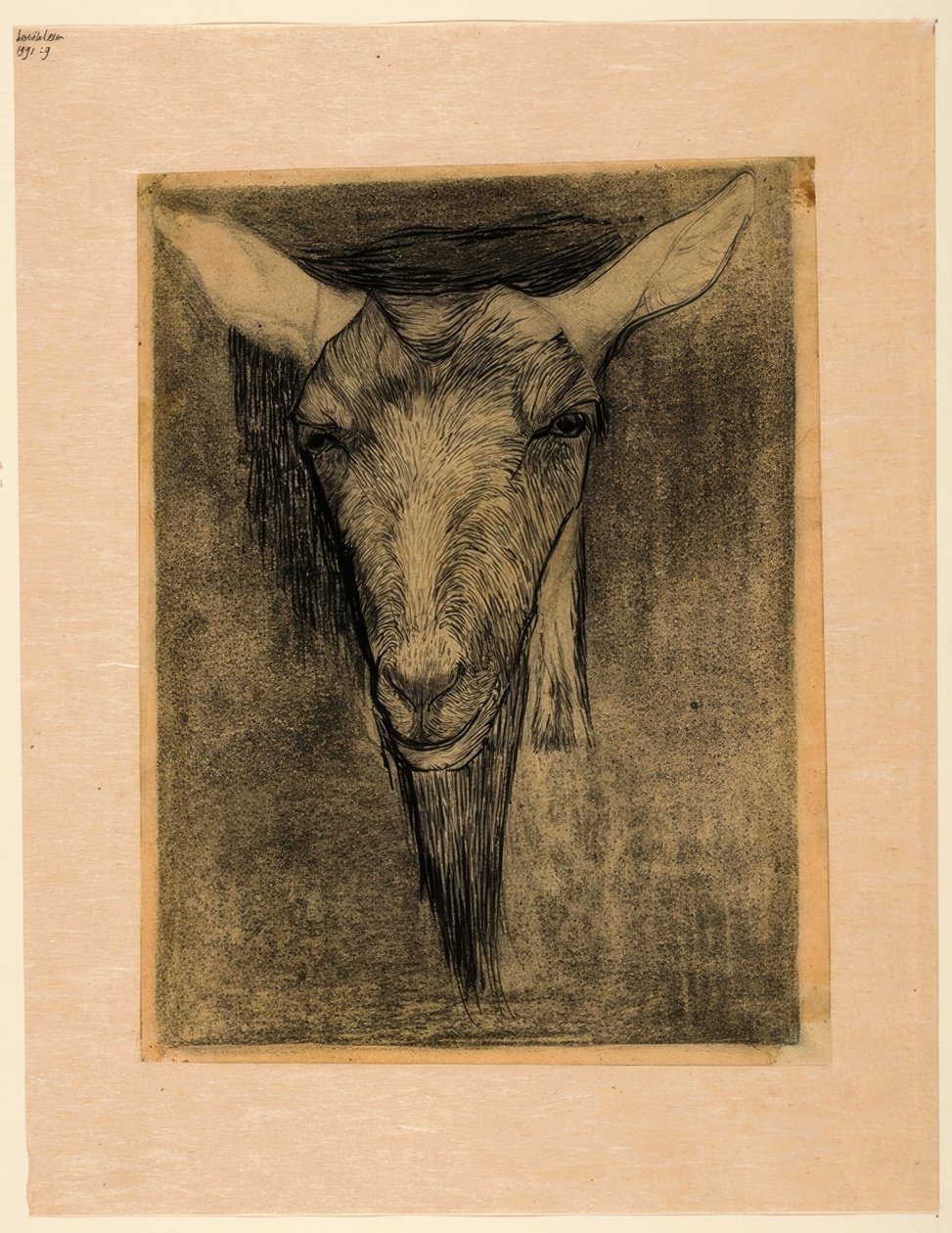 Egy kecske feje alkotó: Jan Mankes