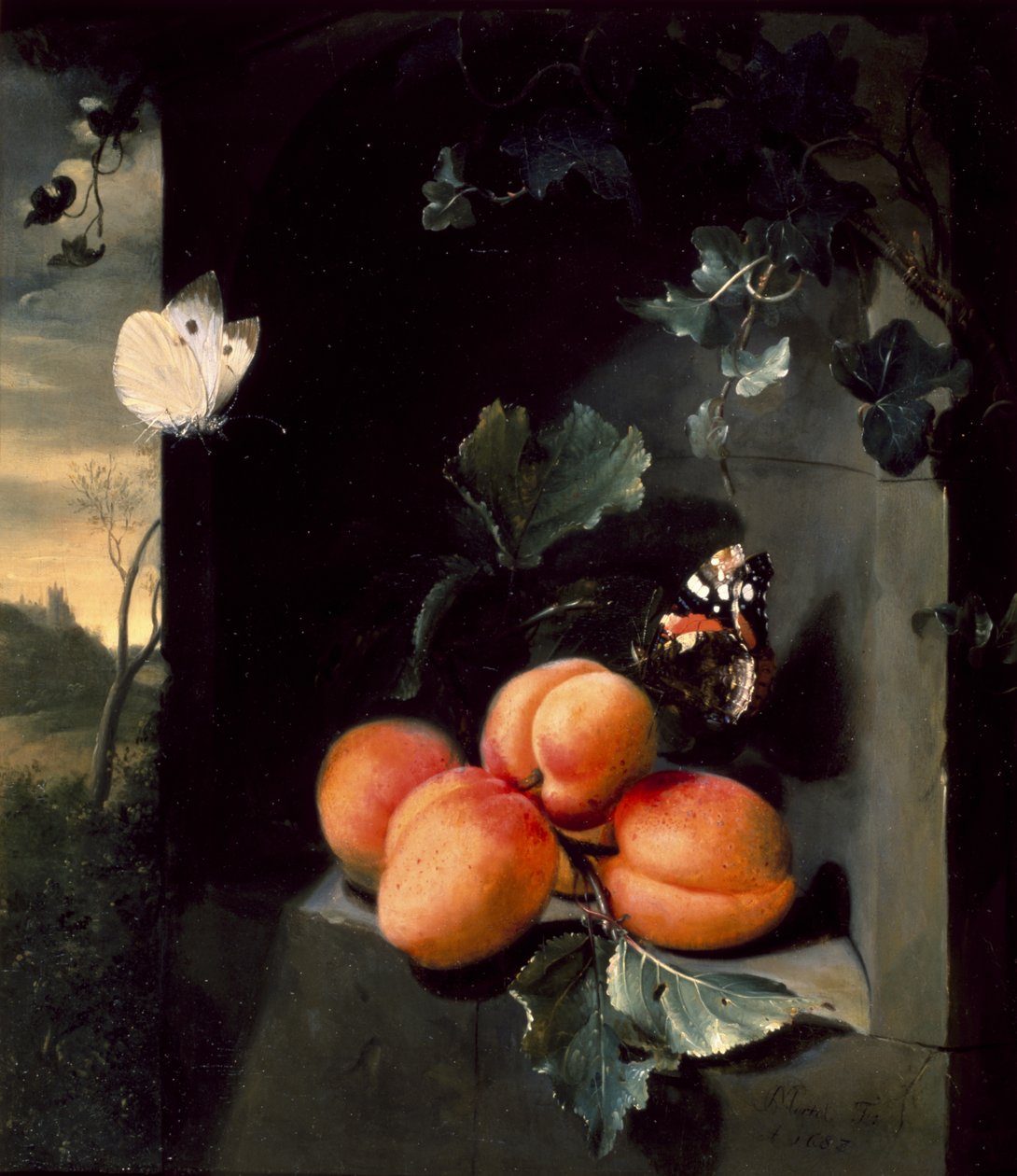 Csendélet sárgabarackkal és pillangókkal, 1683 alkotó: Jan Mortel