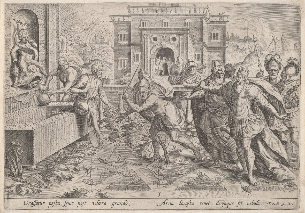 A sáskák pestise alkotó: Jan Sadeler I, after Maarten van Cleef