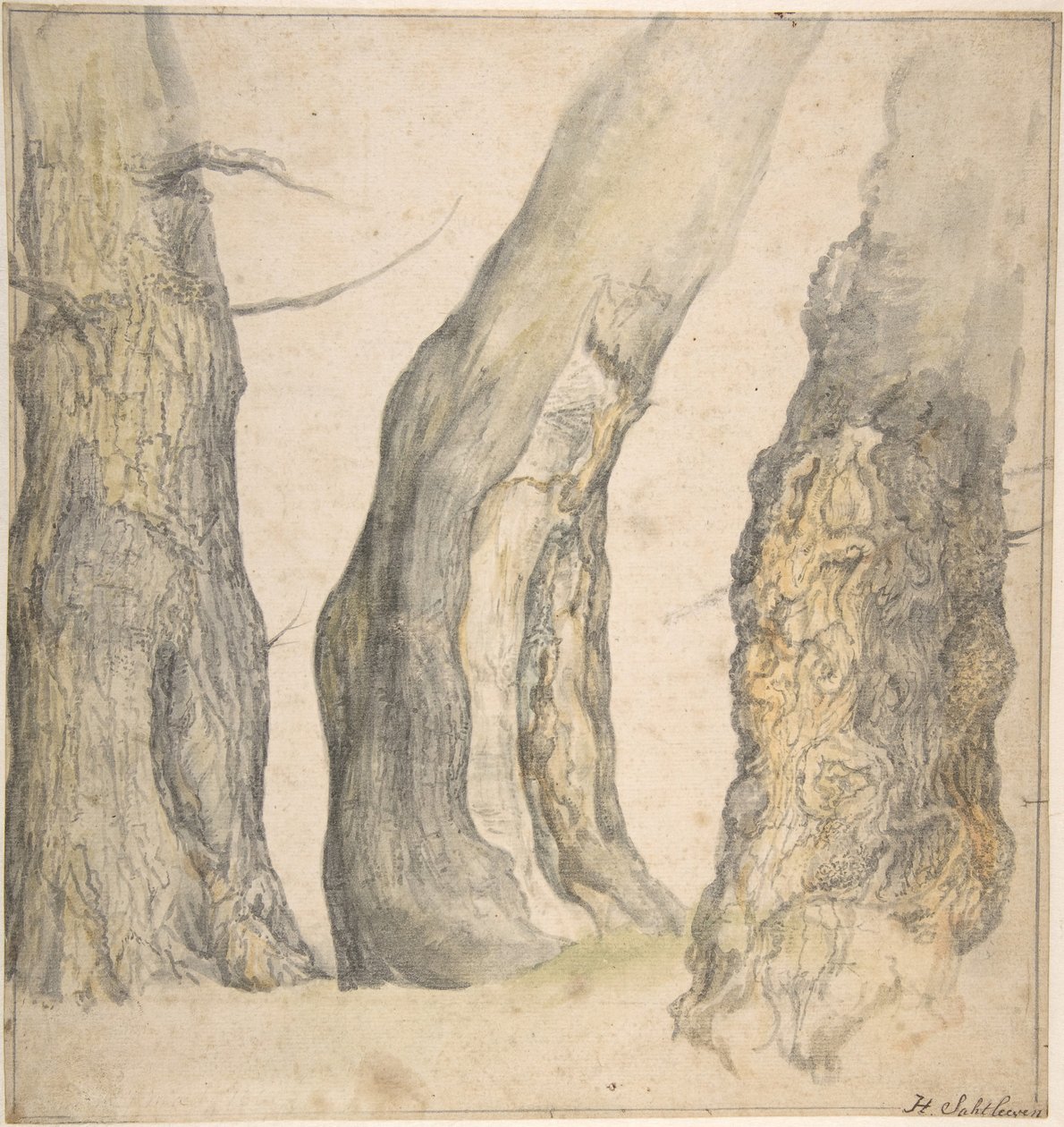 Tanulmány három öreg göcsörtös fáról, 1660. alkotó: Jan Siberechts