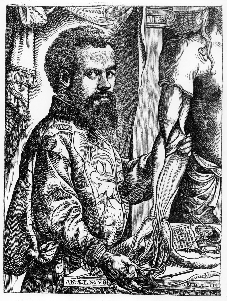 Andreas Vesalius (1514-64) portréja a „De Humani Corporis Fabrica” című könyvéből, 1543, illusztráció a „Tudomány és irodalom a középkorban és a reneszánszban” című könyvéből, Pál írta és metszett. alkotó: Jan Stephen van Calcar