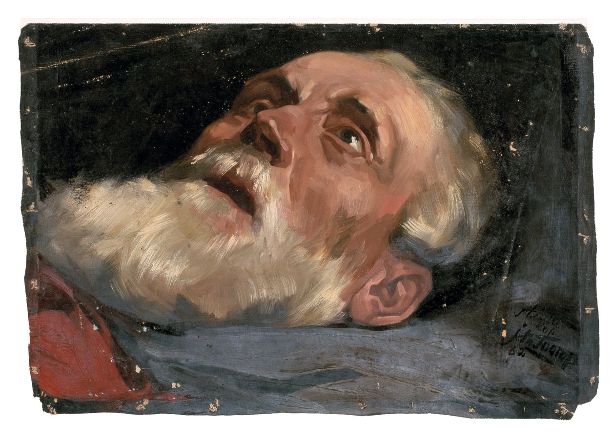 Egy öreg feje (tanulmány) 1882 (olaj, vászon) alkotó: Jan Toorop