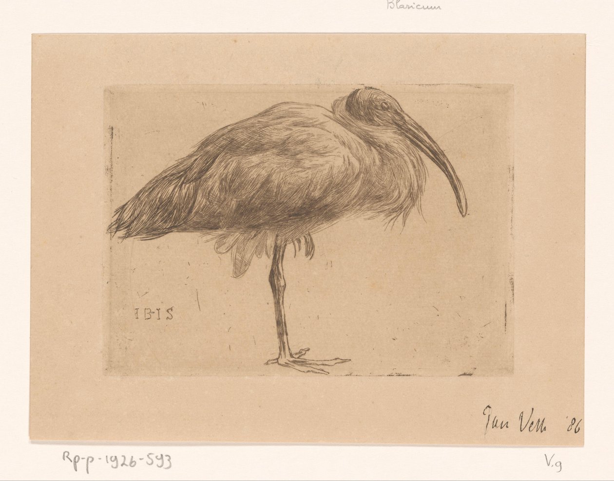 Ibis (eredeti cím a tárgyon) alkotó: Jan Veth (signed by artist)
