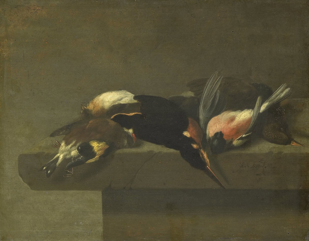Döglött madarak alkotó: Jan Vonck