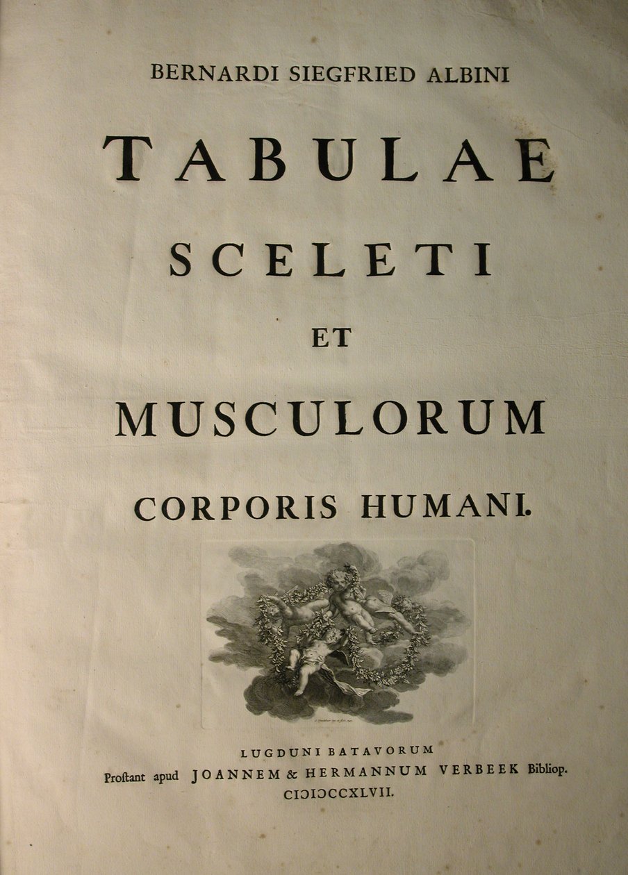 Albinus I, címlap, a "Tabulae sceleti et musculorum corporis humani" című műből, írta Bernhard Siegfried Albinus (1697-1770), kiadta J.undH. Verbeek, bibliop., Leiden, 1747. alkotó: Jan Wandelaar