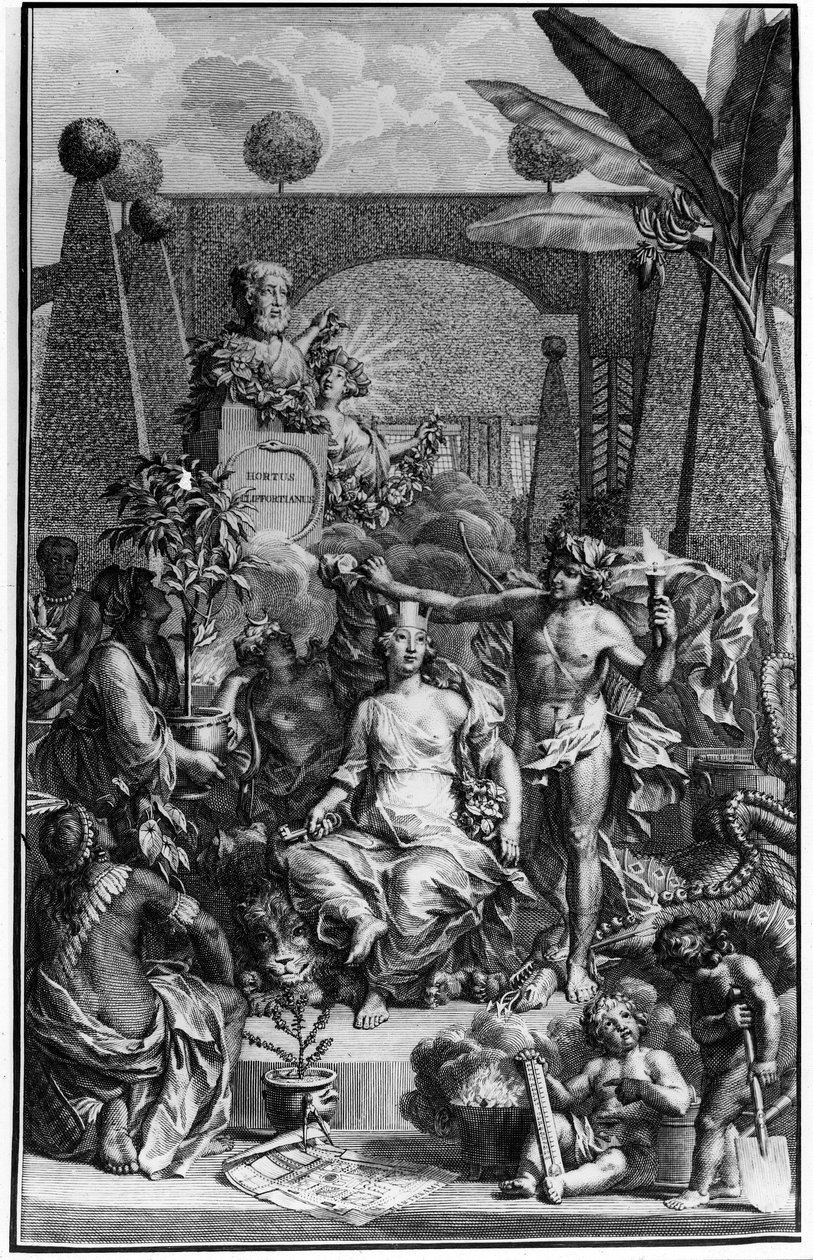 Charles Linne (Carl von Linne, Linneus 1707-1778), svéd természettudós „Hortus Cliffortianus” homlokzata. 1737. Jan Wandelaar (1690-1759) metszete. Magángyűjtemény. alkotó: Jan Wandelaar