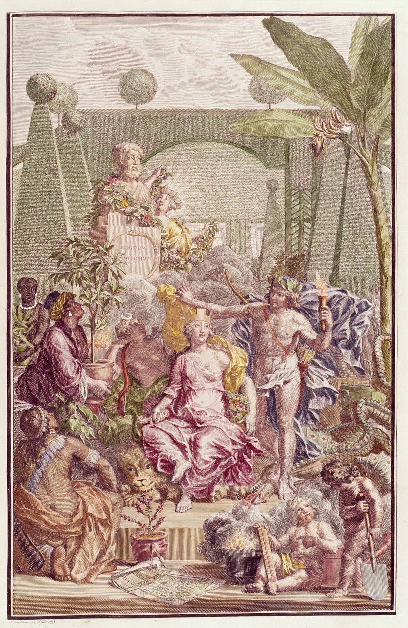 Carl Linnaeus (1707-78) „Hortus Cliffortianus” című művének előképe alkotó: Jan Wandelaar