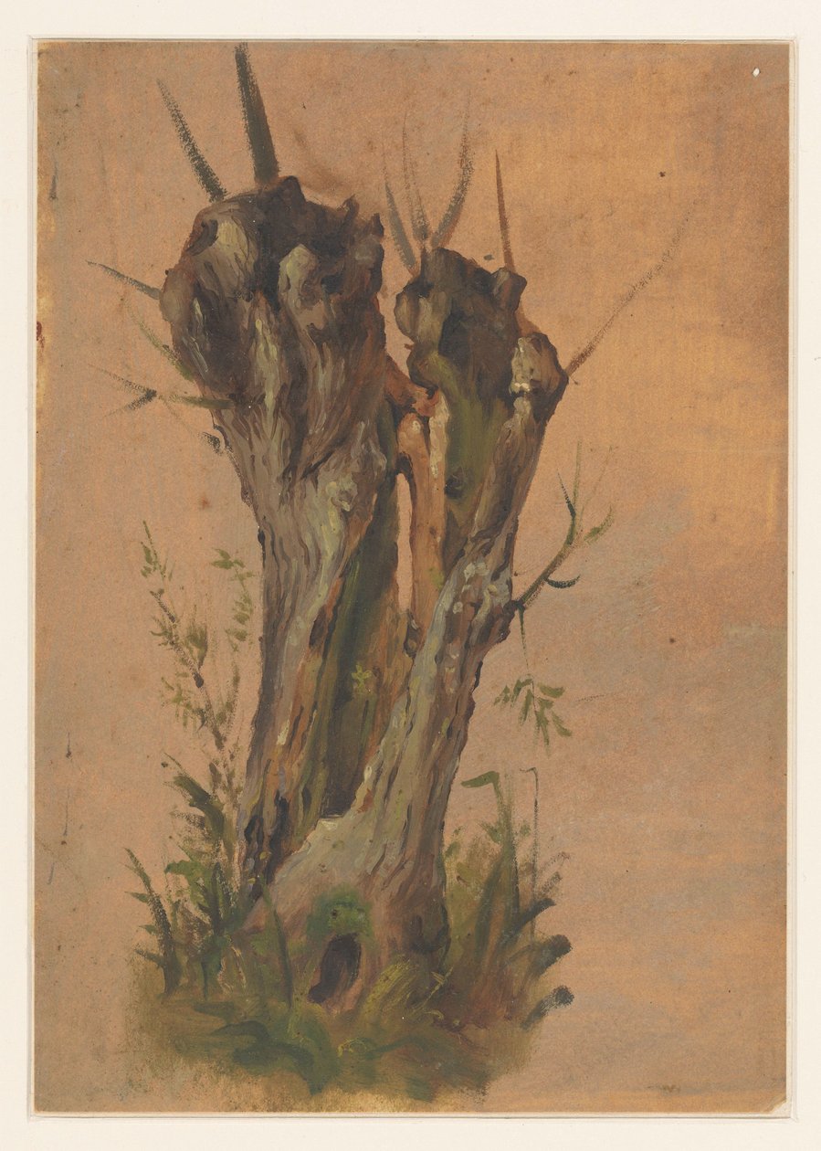 szárnyasfűz alkotó: Jan Weissenbruch