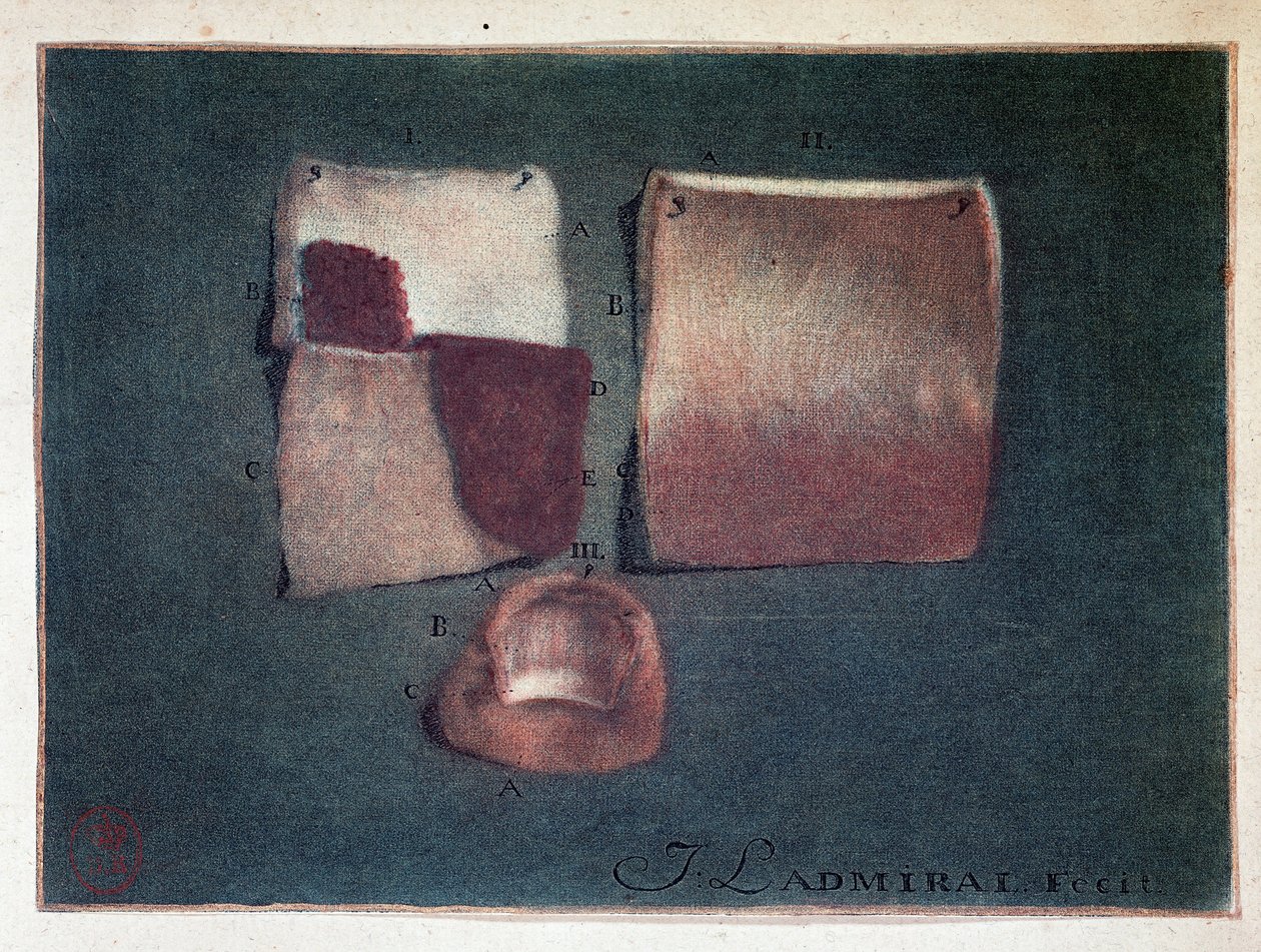 Különböző színű bőr, Ladmiral alkotó: Jan or Joannes Ladmiral