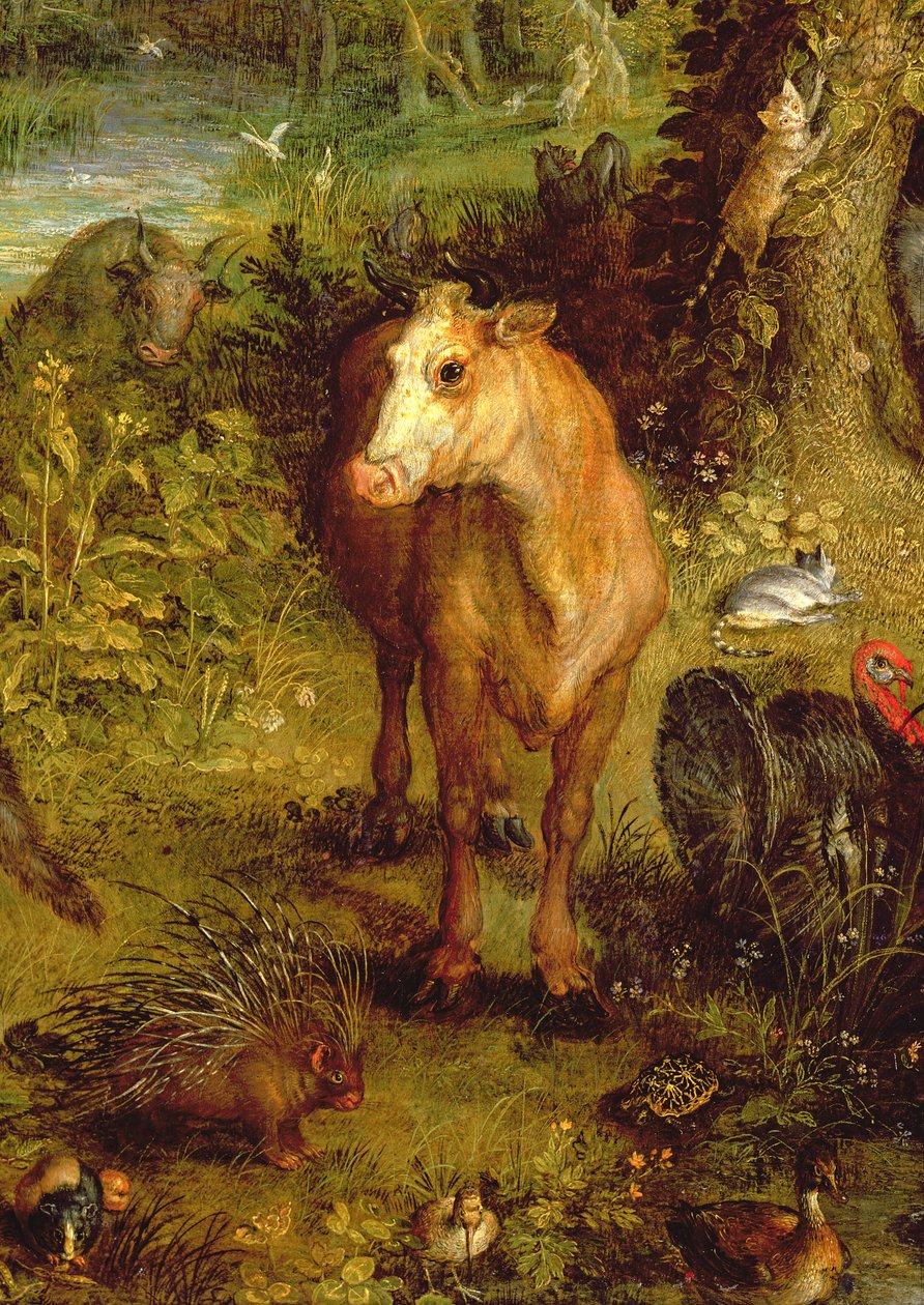 Föld vagy a Földi Paradicsom, tehén, sertés és más állatok részlete, 1607-08 olaj, réz, 93899 részlet alkotó: Jan the Elder Brueghel