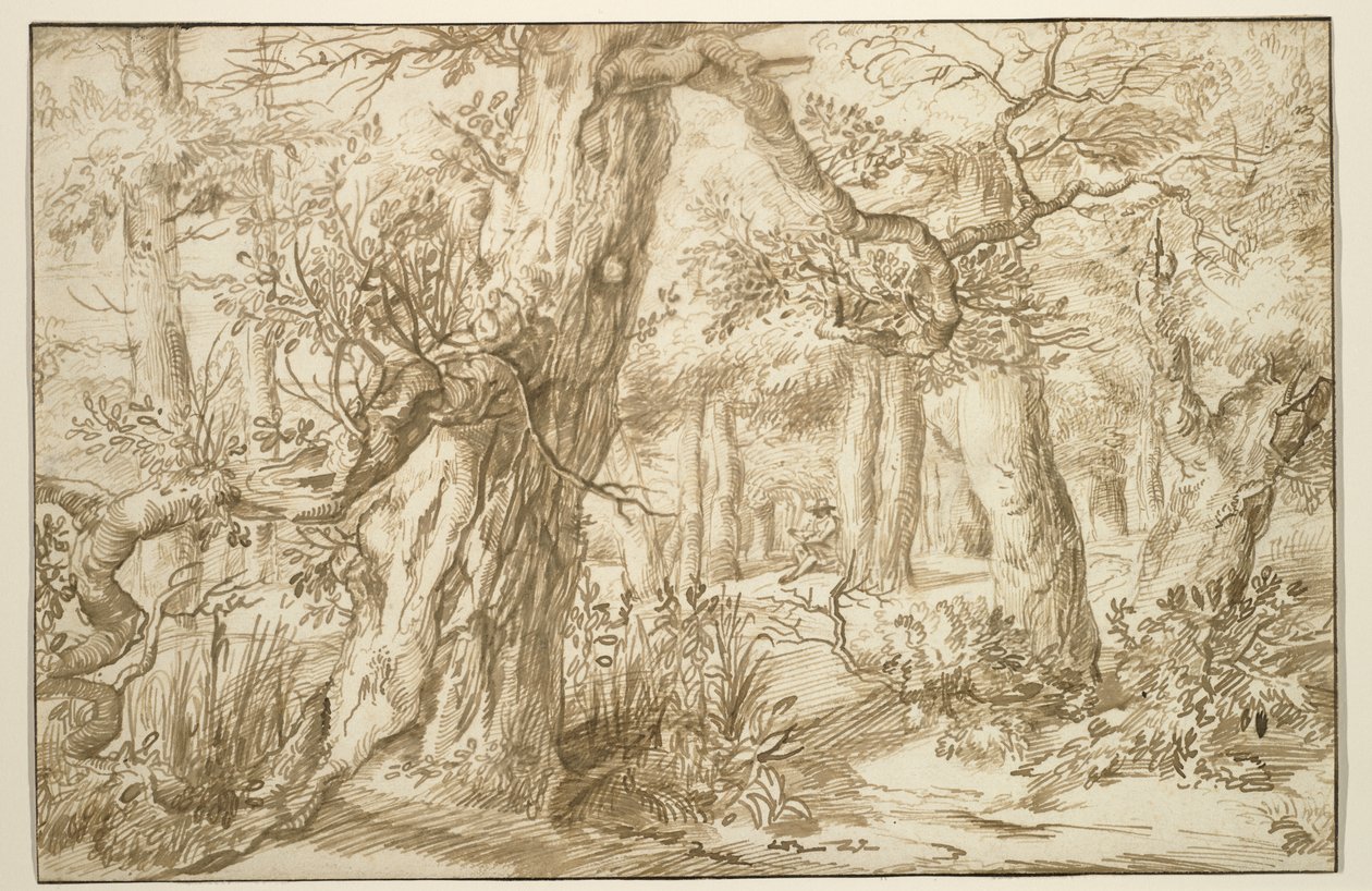 Forest Interior with Draftsman, 1664 körül (barna tinta antik fektetett papíron) alkotó: Jan the Elder Lievens