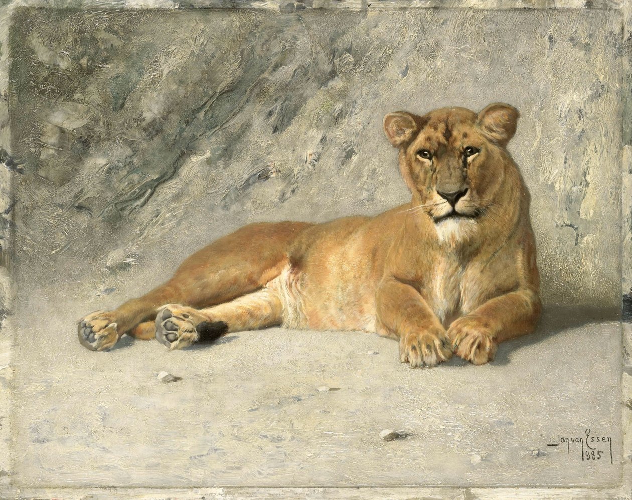 Oroszlán pihen alkotó: Jan van Essen