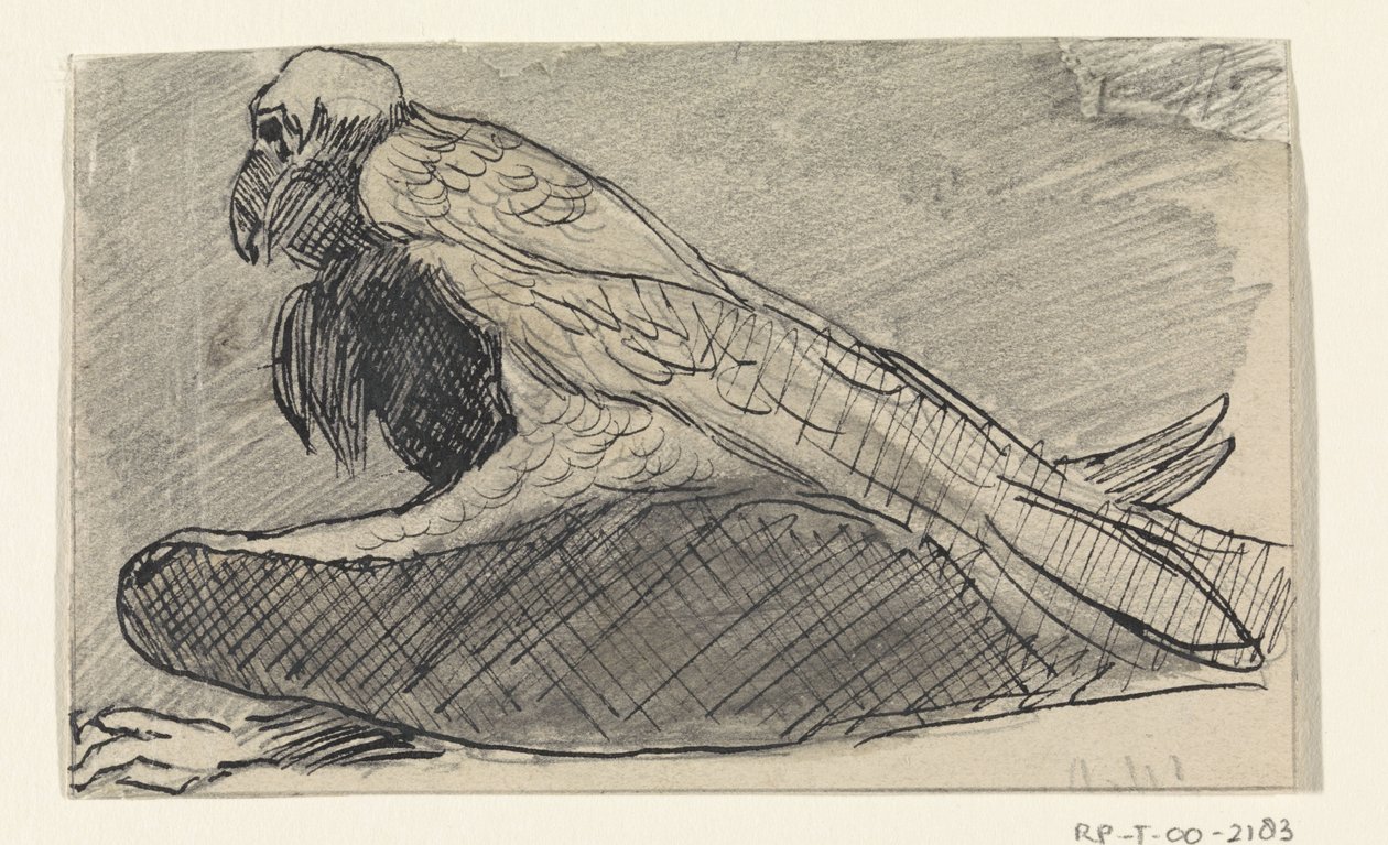 ülő keselyű alkotó: Jan van Essen