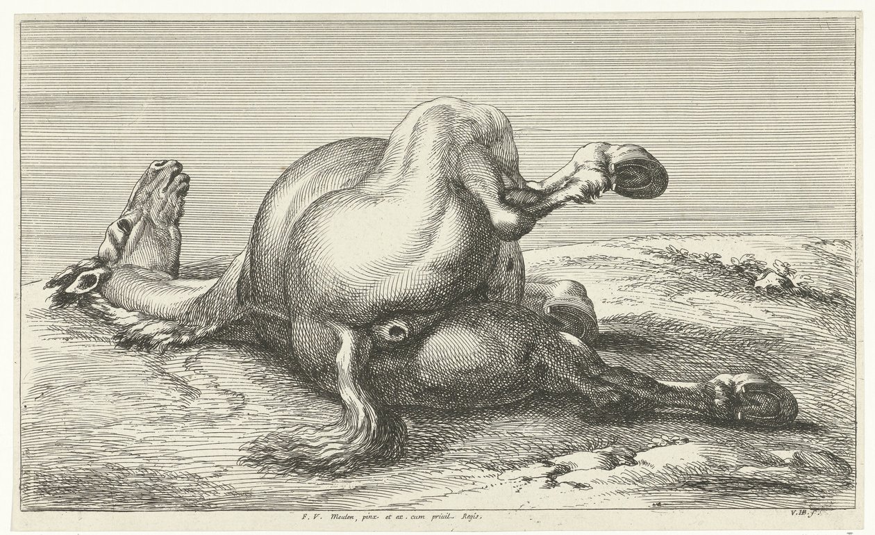 elesett ló Dead Horses (sorozat címe) alkotó: Jan van Huchtenburg