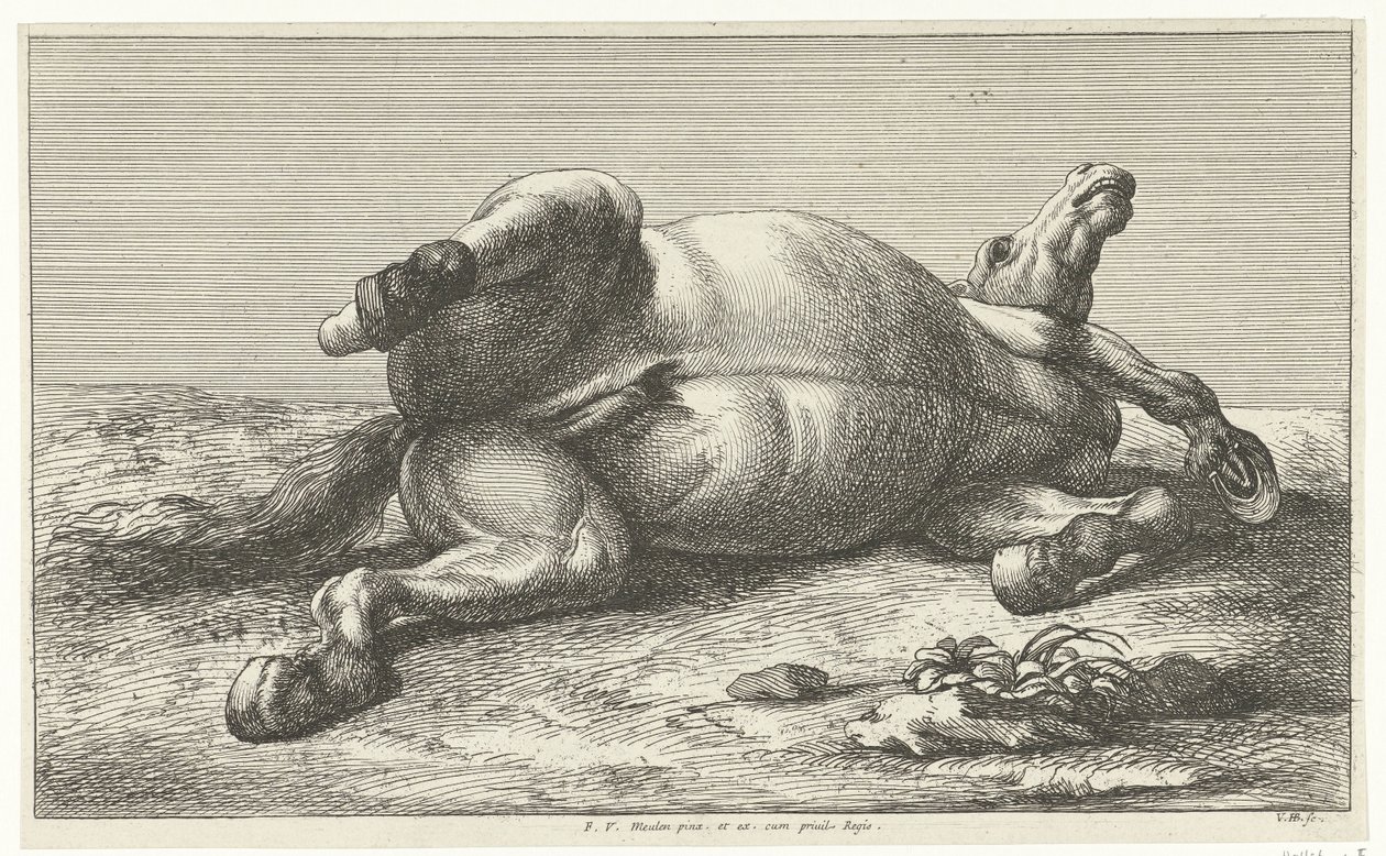 Döglött ló a bal oldalán fekszik Dead Horses (sorozat címe) alkotó: Jan van Huchtenburg